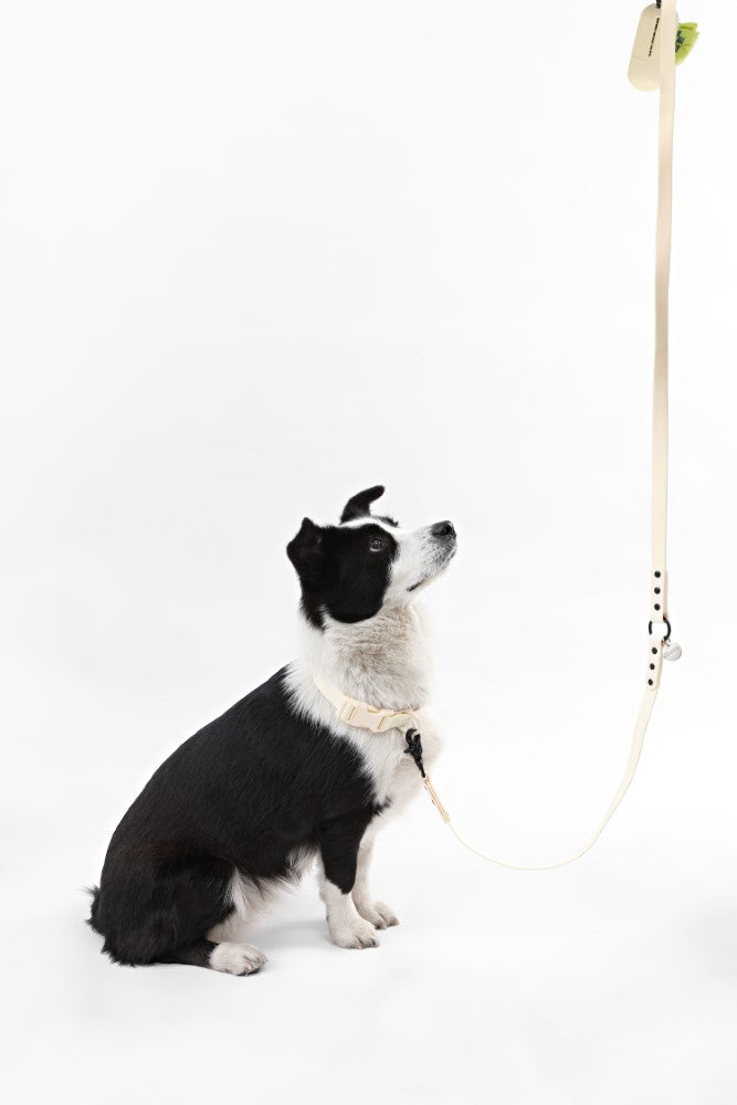 Shri 8FT Adjustable 6-in-1 Waterproof Hands-Free Leash and Collar with LED Flashlight Bag Dispenser and Poop Bag Holder