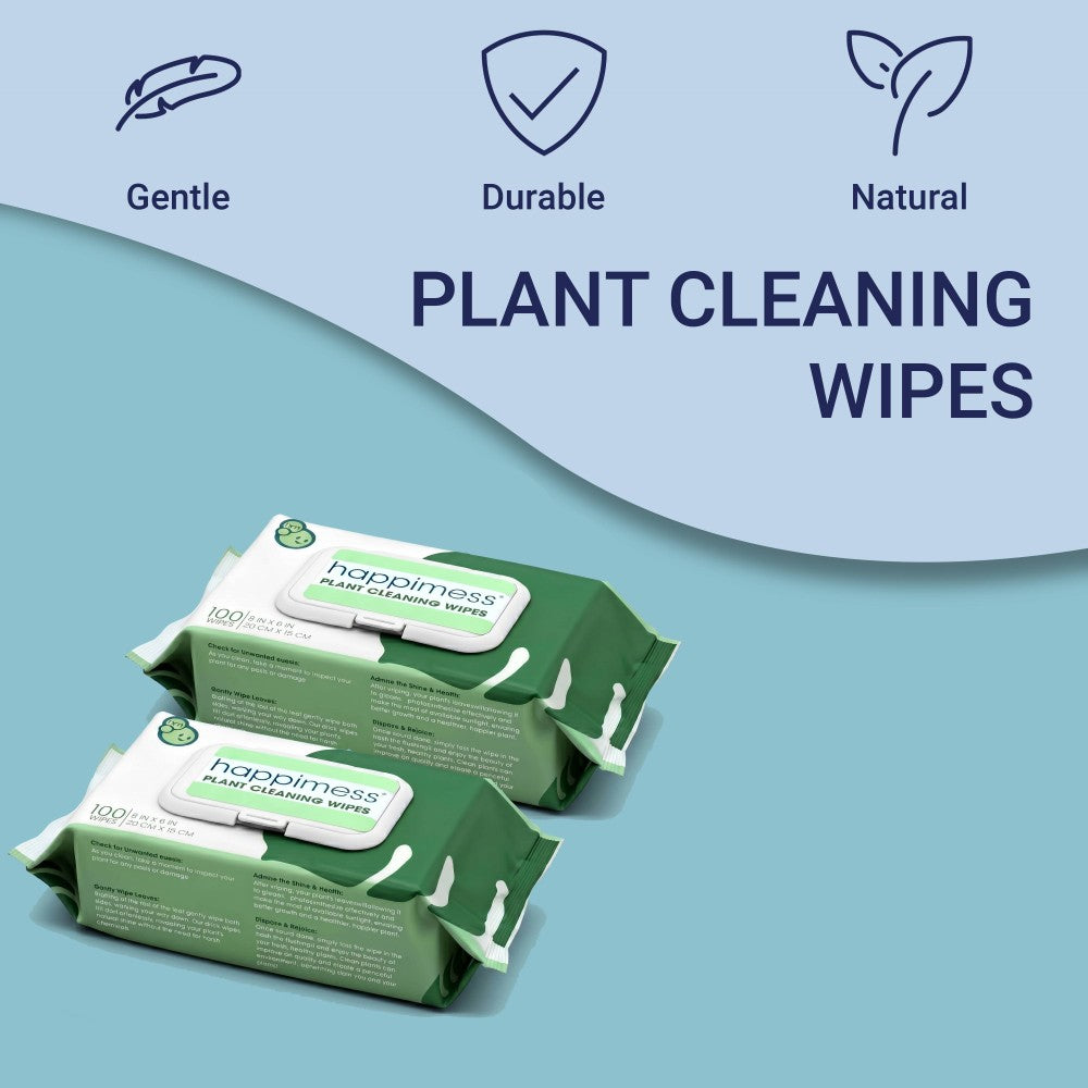 Rowan Oil Infused Plant Cleaning Wipes, Remove Dust Dirt Water Spots and Restore