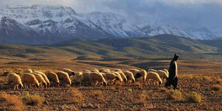 Beni Ourain Rugs: Timeless Elegance with a Rich Heritage