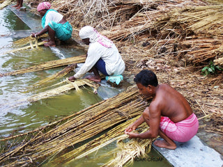 The Journey of a Jute Rug: From Raw Materials to Your Living Room
