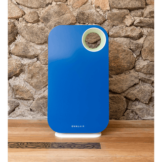 Air Purifiers