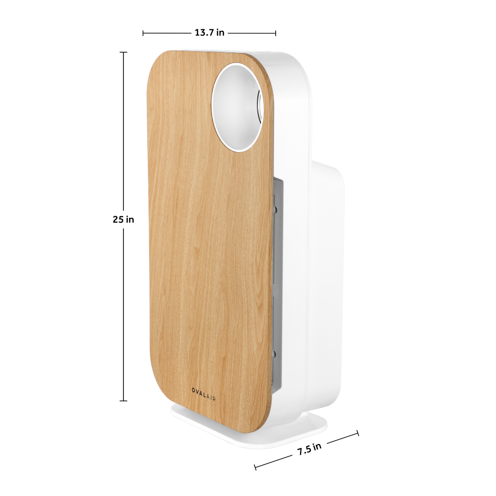 Oval Air Purifier
