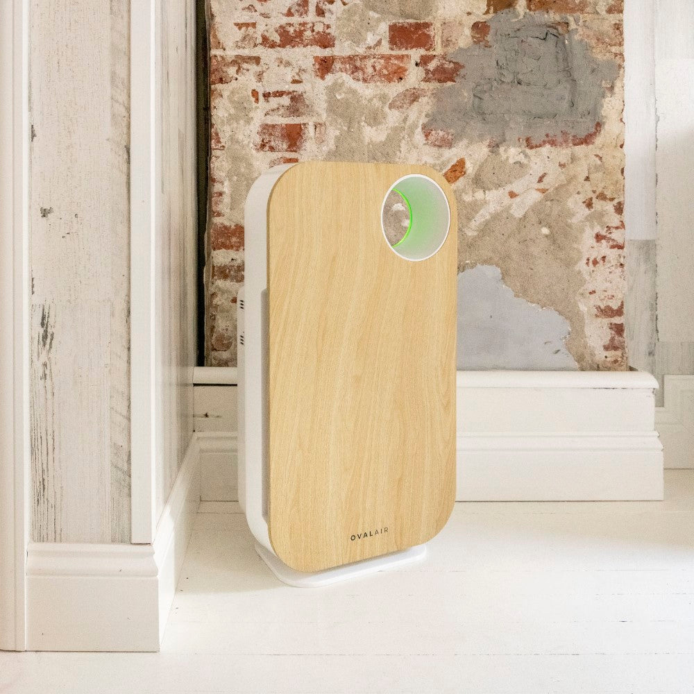 Oval Air Purifier