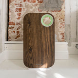 Oval Air Purifier