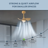Albini 22" Contemporary Minimalist 6-Speed Metal Mobile-App/Remote-Controlled Dimmable Smart Integrated LED Ceiling Fan
