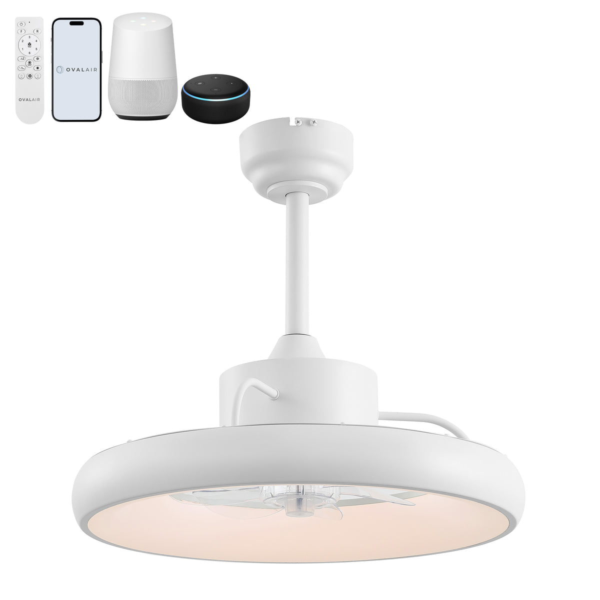 Trina 20" Modern Contemporary 6-Speed Metal Mobile-App/Remote-Controlled Dimmable Smart Integrated LED Ceiling Fan