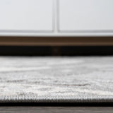 Auckland Julien Paisley High-Low Indoor/Outdoor Area Rug