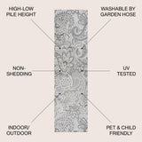 Christchurch Gordes Paisley High-Low Indoor/Outdoor Area Rug