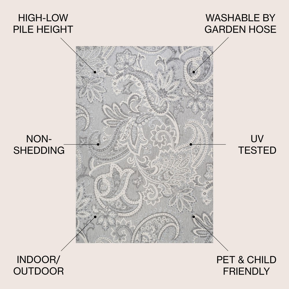 Christchurch Gordes Paisley High-Low Indoor/Outdoor Area Rug