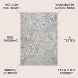 Christchurch Gordes Paisley High-Low Indoor/Outdoor Area Rug