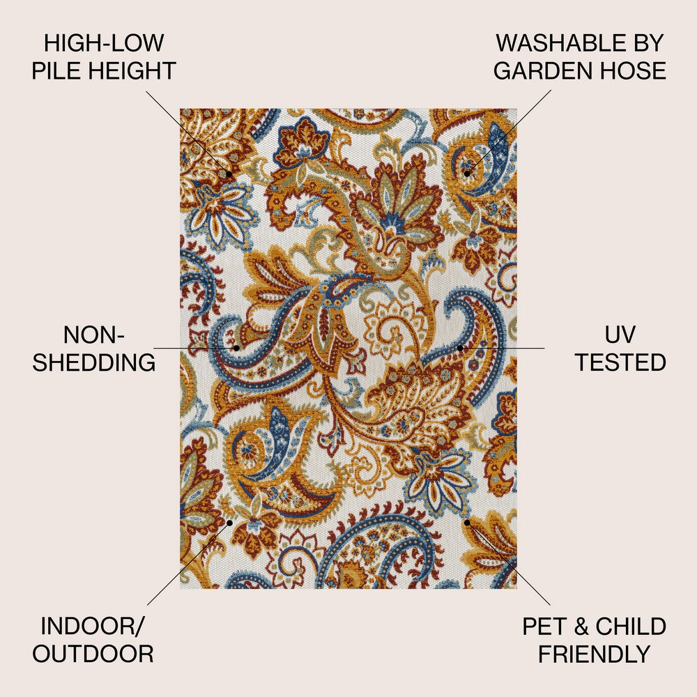 Christchurch Gordes Paisley High-Low Indoor/Outdoor Area Rug