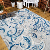 Christchurch Gordes Paisley High-Low Indoor/Outdoor Area Rug