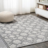 Lower Gallia Tile Trellis High-Low Indoor/Outdoor Area Rug