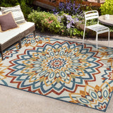 Cas abstract Bold Mandala High-low Indoor/outdoor Area Rug