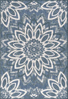 Dark Blue/Cream