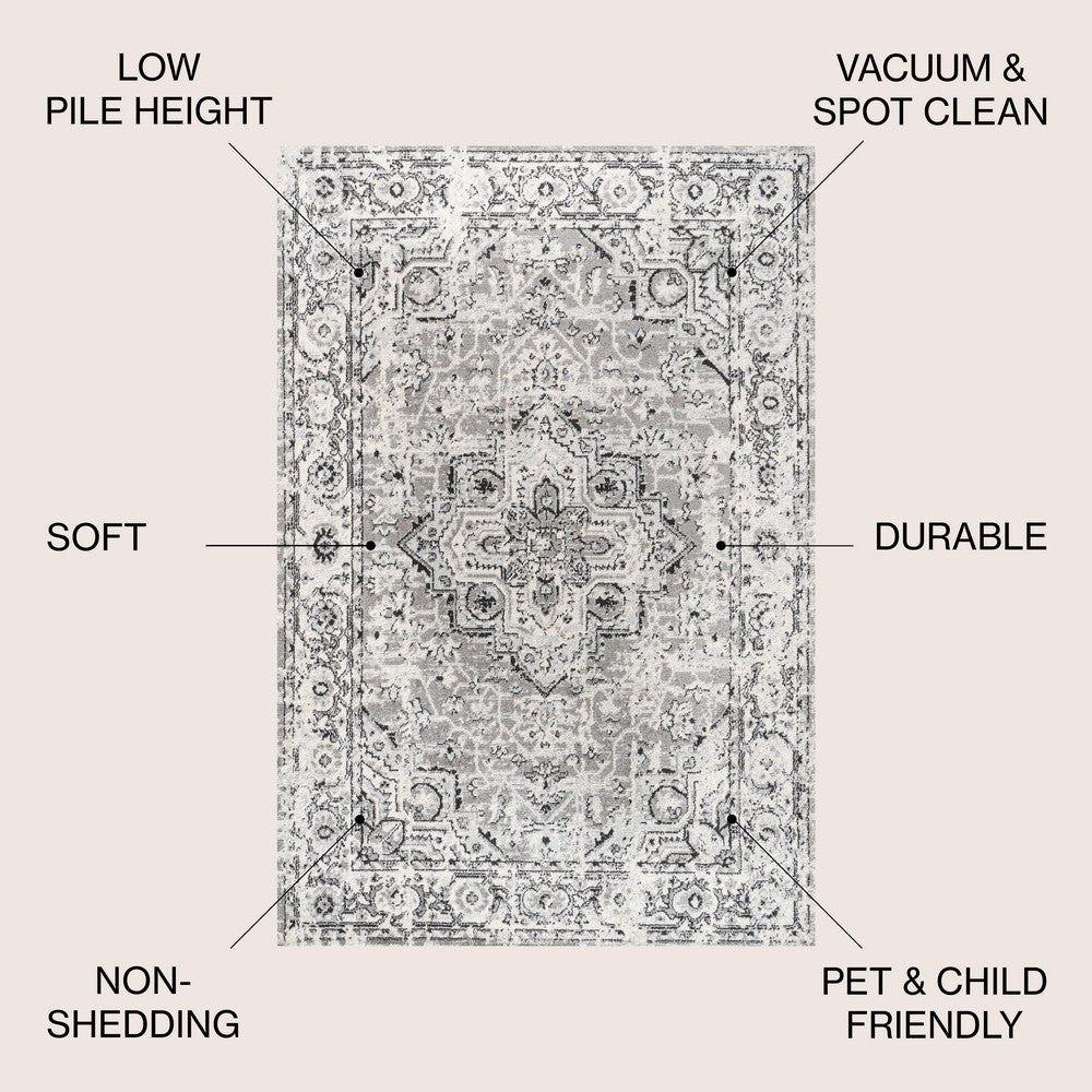 Andromeda Denia Ornate Geometric Medallion Area Rug