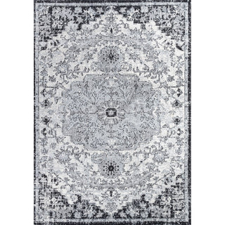 Walter Ornate Boho Medallion Area Rug