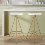 Chantel 30" Modern Industiral Iron Tripod Backless Bar Stool
