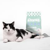 Unscented Premium Clumping Bentonite Clay Cat Litter w/Activated Charcoal