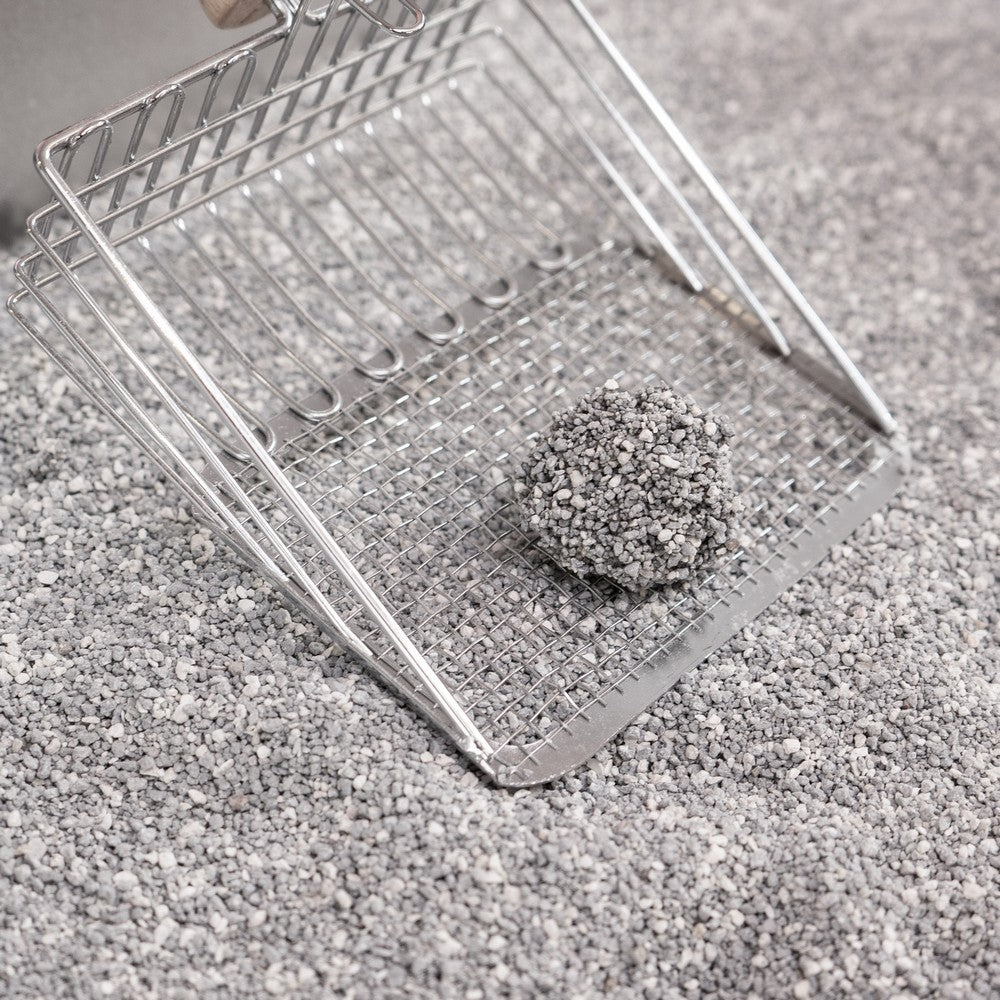 Unscented Premium Clumping Bentonite Clay Cat Litter w/Activated Charcoal