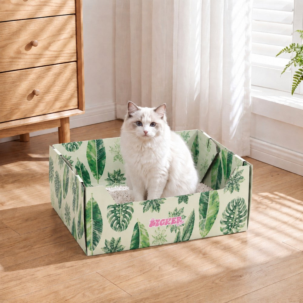 Pawsie 17" Modern Waterproof Disposable Cardboard Cat Litter Box with Scoop