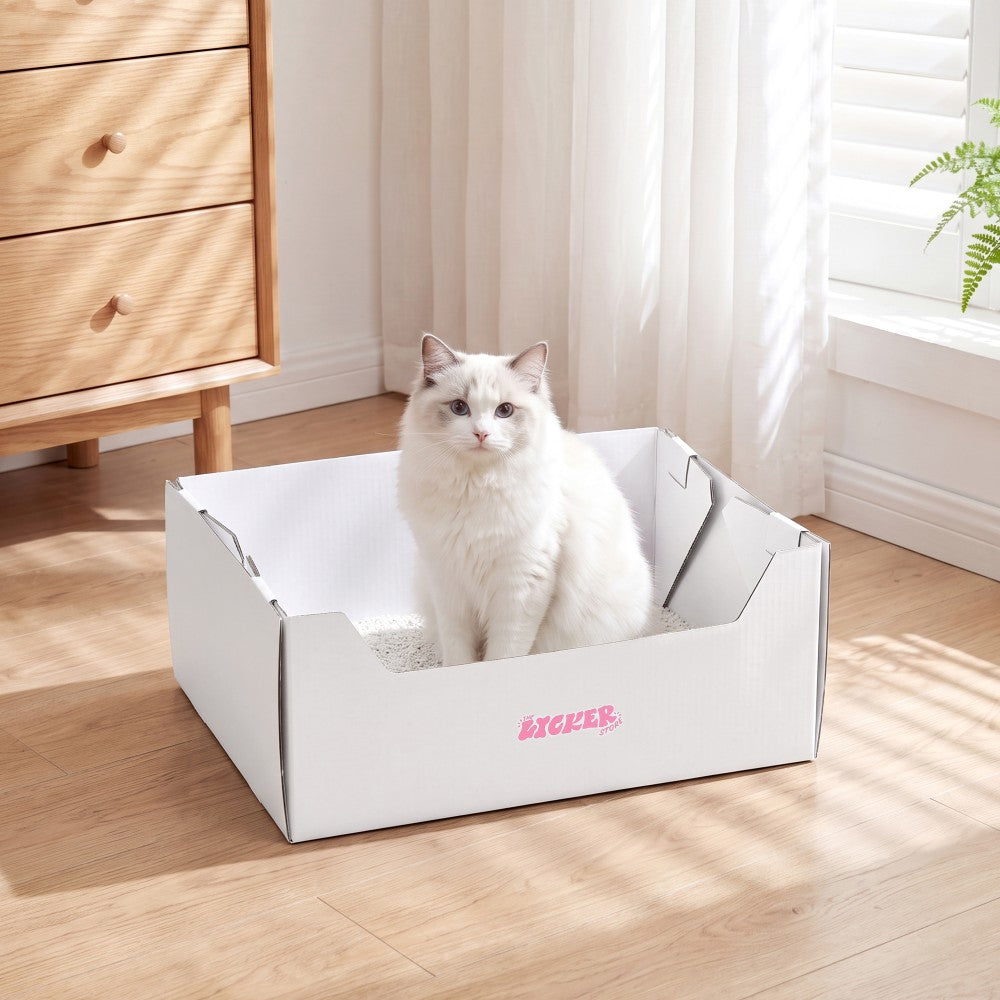 Pawsie 17" Modern Waterproof Disposable Cardboard Cat Litter Box with Scoop