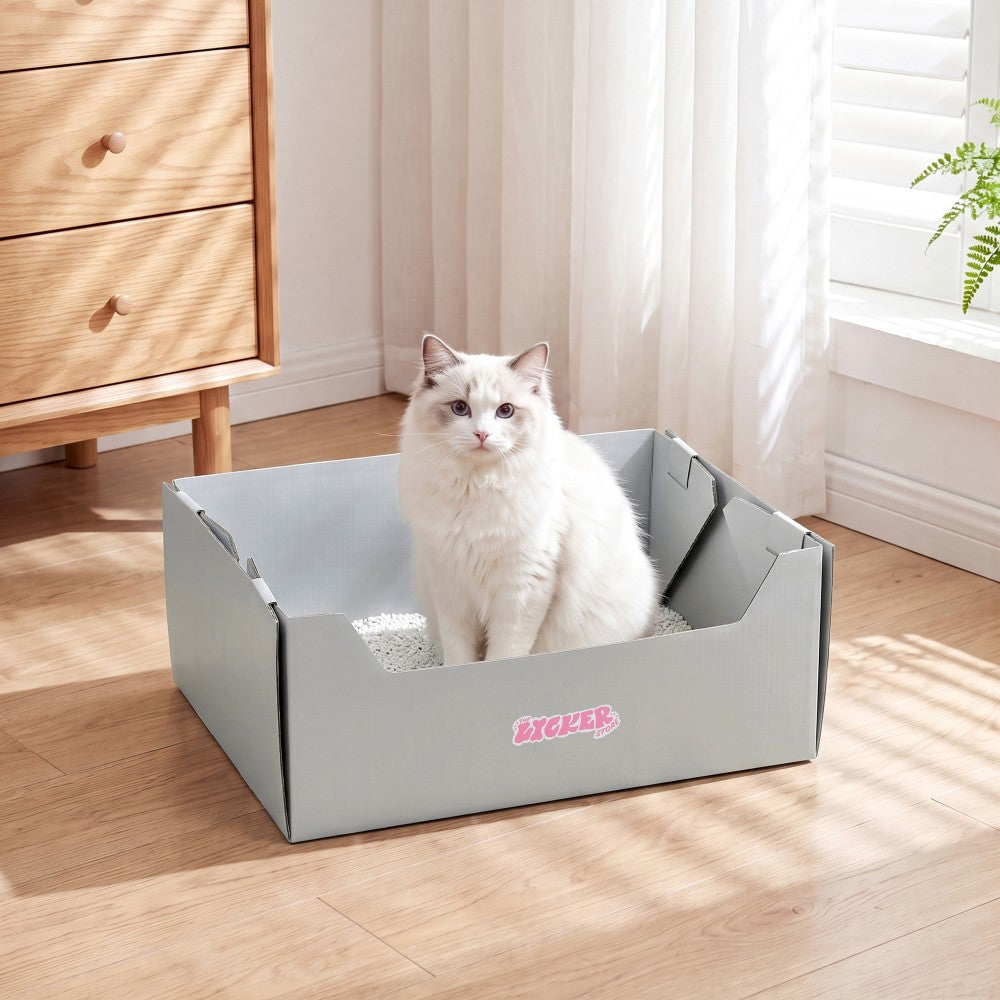 Pawsie 17" Modern Waterproof Disposable Cardboard Cat Litter Box with Scoop