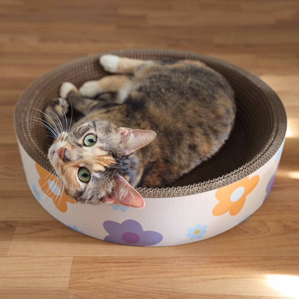 Daisy Cat Scratcher Set 2