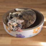 Daisy Cat Scratcher Set 2