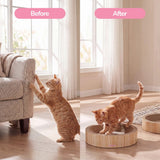 Daisy Cat Scratcher Set 2