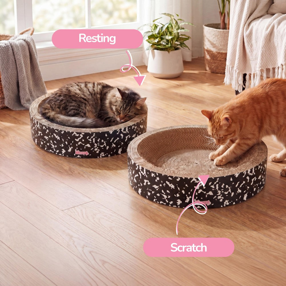 Daisy Cat Scratcher Set 2