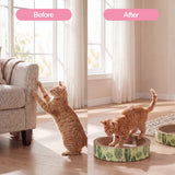 Daisy Cat Scratcher Set 2