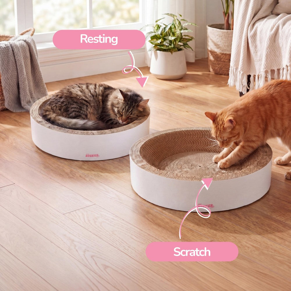 Daisy Cat Scratcher Set 2