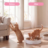 Daisy Cat Scratcher Set 2
