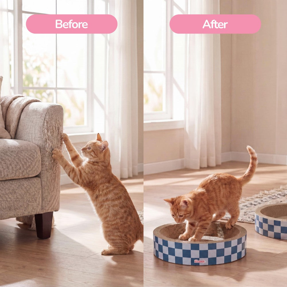 Daisy Cat Scratcher Set 2