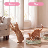 Daisy Cat Scratcher Set 2