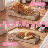 Kokomo Cat Scratcher