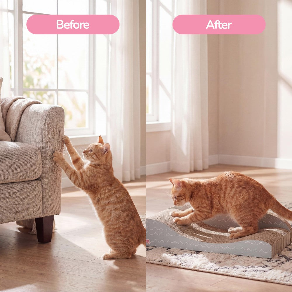 Kokomo Cat Scratcher