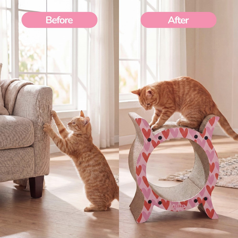 Nyan Cat Scratcher