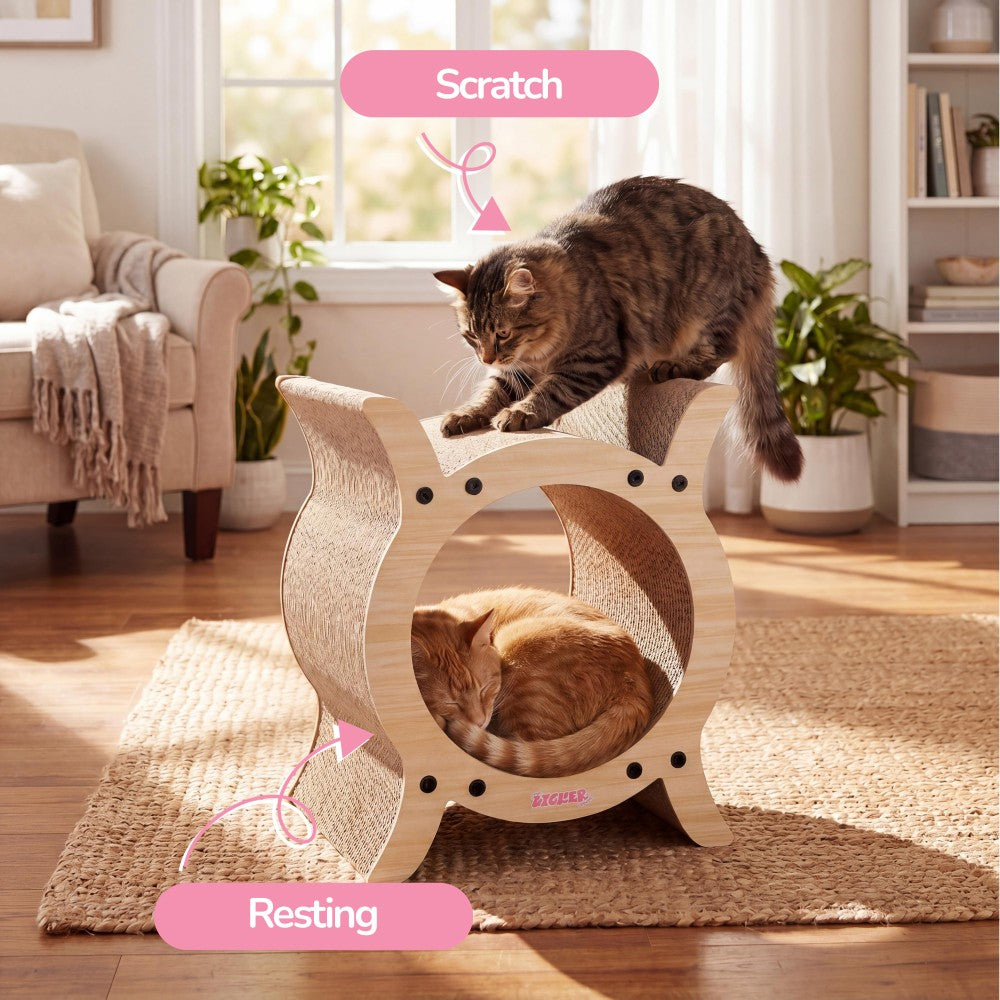 Nyan Cat Scratcher