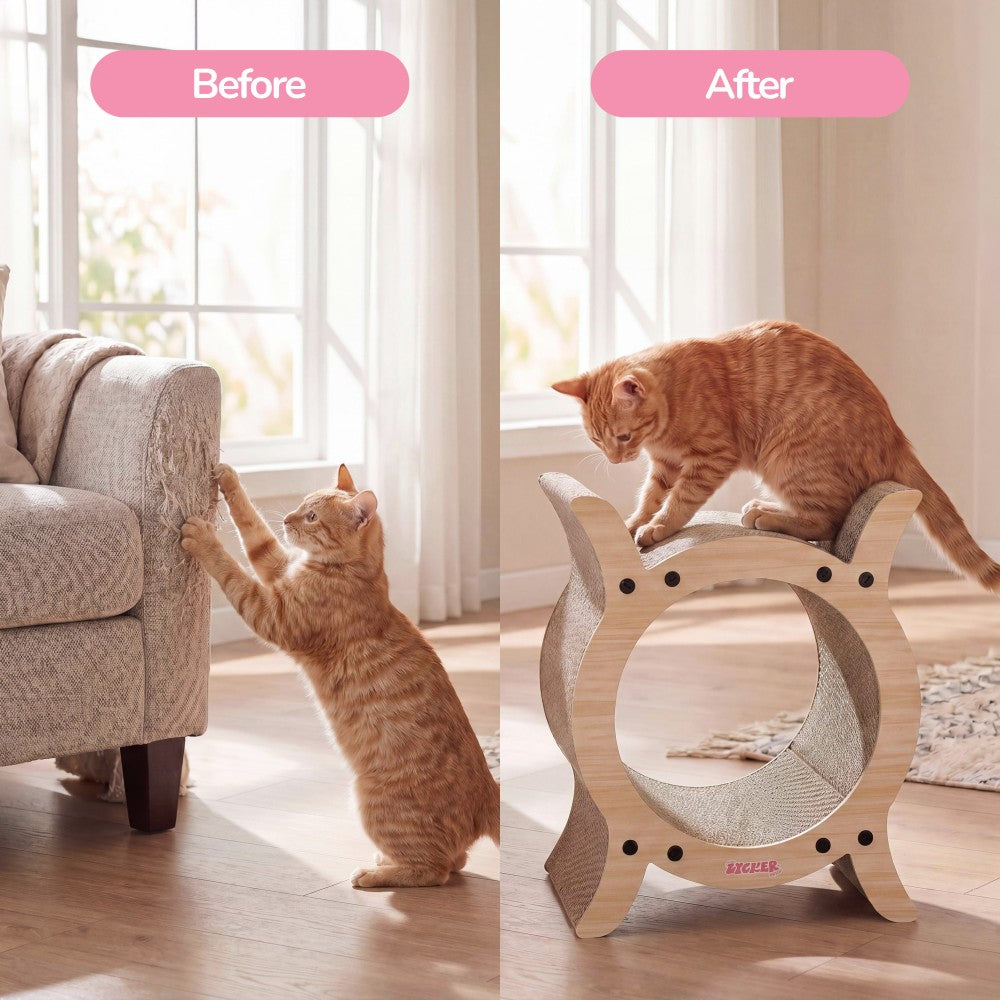 Nyan Cat Scratcher