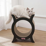 Nyan Cat Scratcher
