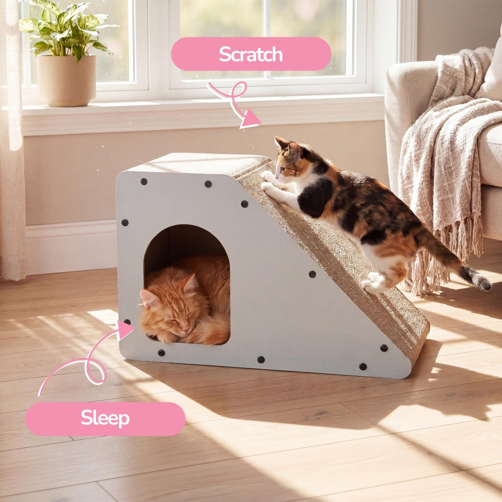 Kento Cat Scratcher