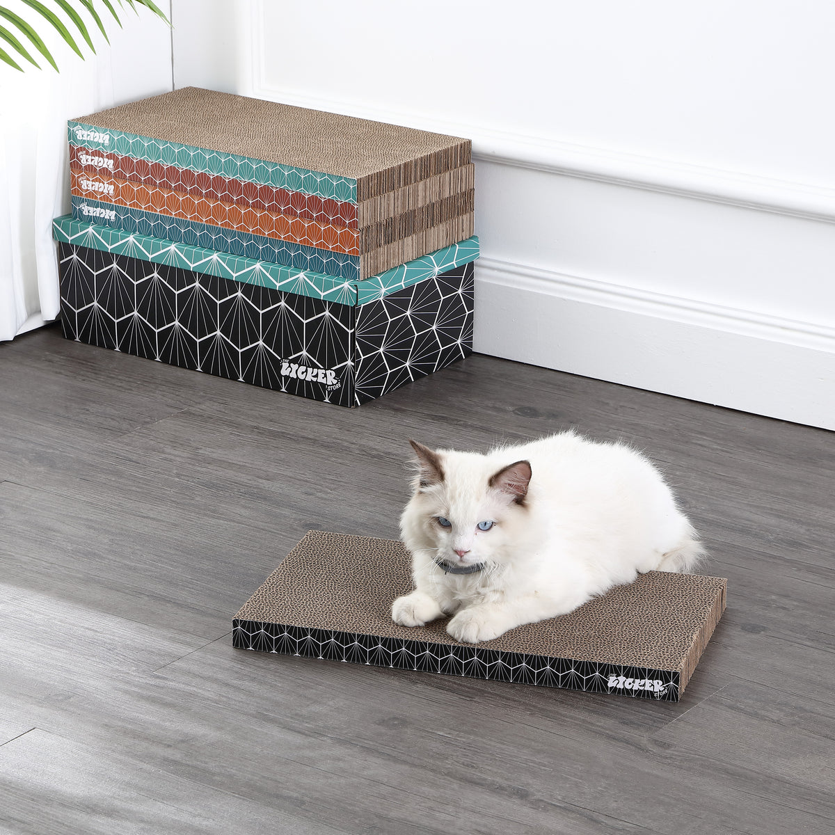 Naomi Cat Scratcher
