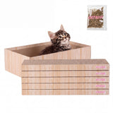 Naomi Cat Scratcher
