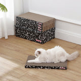 Naomi Cat Scratcher