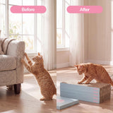 Naomi Cat Scratcher