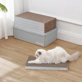 Naomi Cat Scratcher