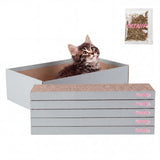 Naomi Cat Scratcher