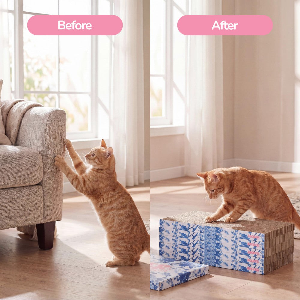 Naomi Cat Scratcher